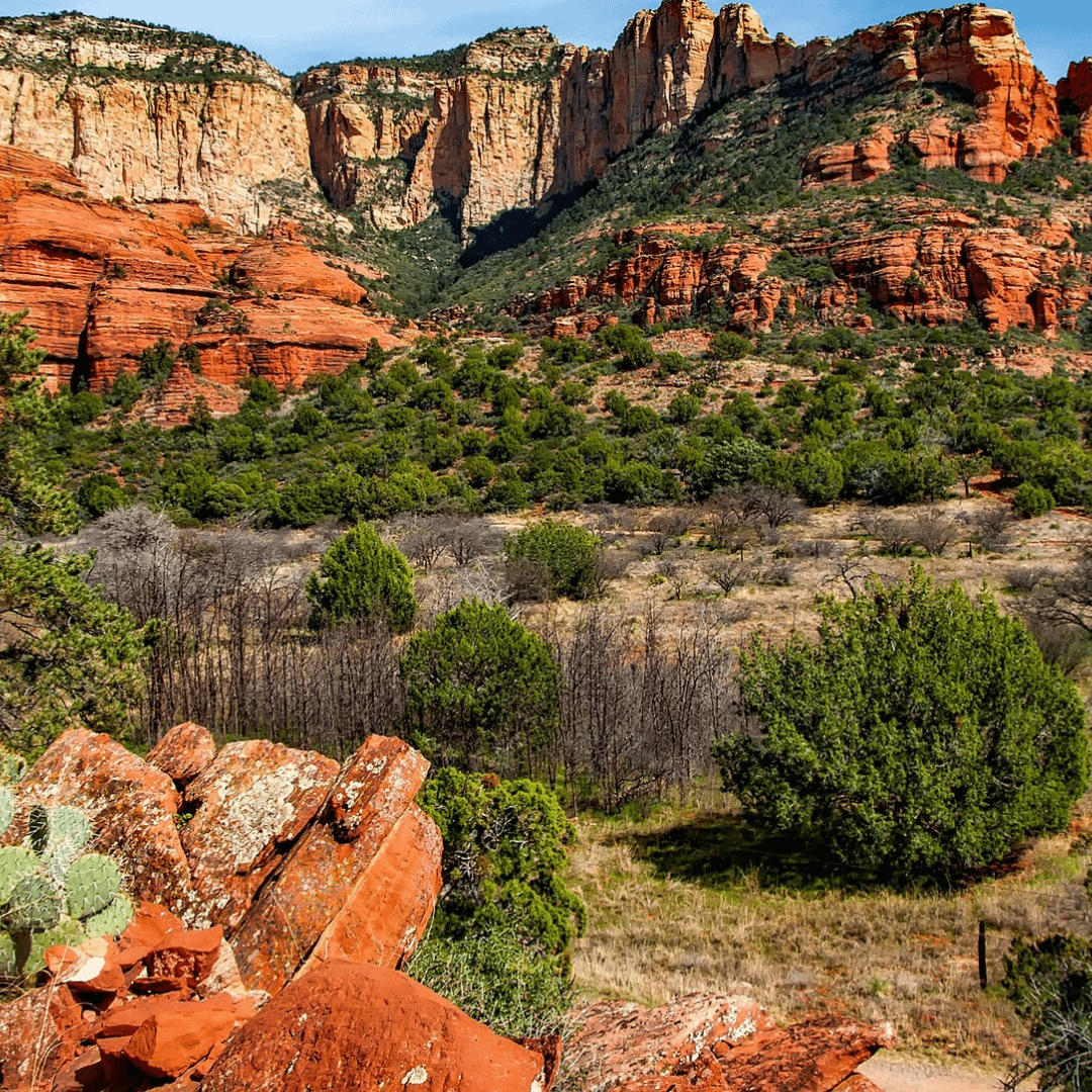 Home Arizona Association Of Conservation Districts